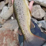 на село Дом отдыха