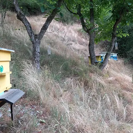 на село Гостевой дом