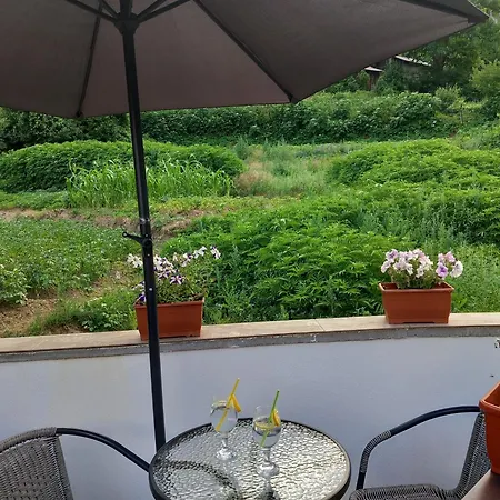 на село Гостевой дом 3*