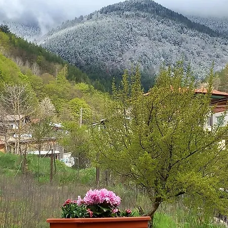 на село Девин