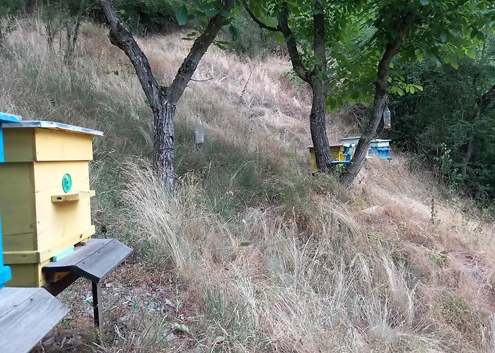 на село Сasa de vacaciones