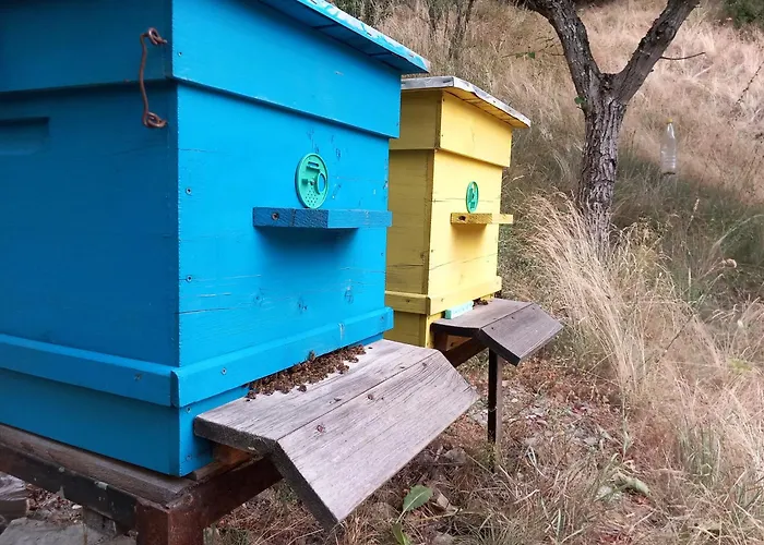 펜션 на село