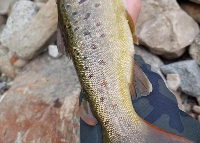 на село Сasa de vacaciones